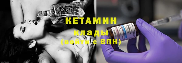 хмурый Белокуриха