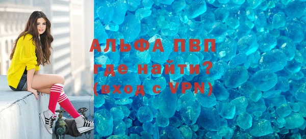 хмурый Белокуриха