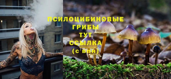 MDMA Premium VHQ Беломорск