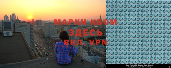 хмурый Белокуриха