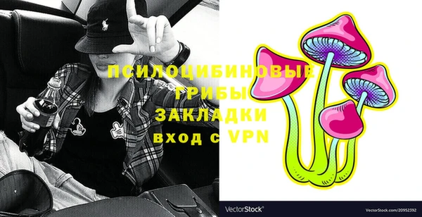 хмурый Белокуриха