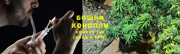 хмурый Белокуриха