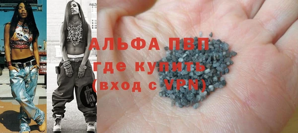хмурый Белокуриха
