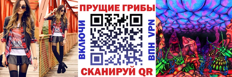 наркотики  Верхотурье  Псилоцибиновые грибы Psilocybe 
